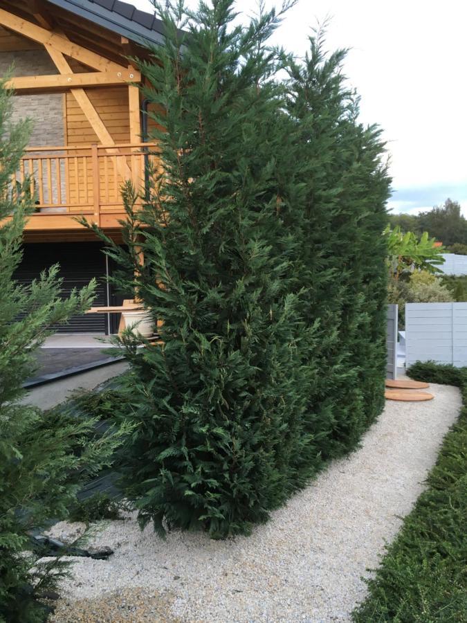Chalet A La Campagne Coise-Saint-Jean-Pied-Gauthier Exterior foto